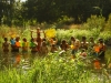 mg_1033 mg_1033